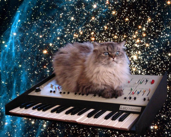 spacecat